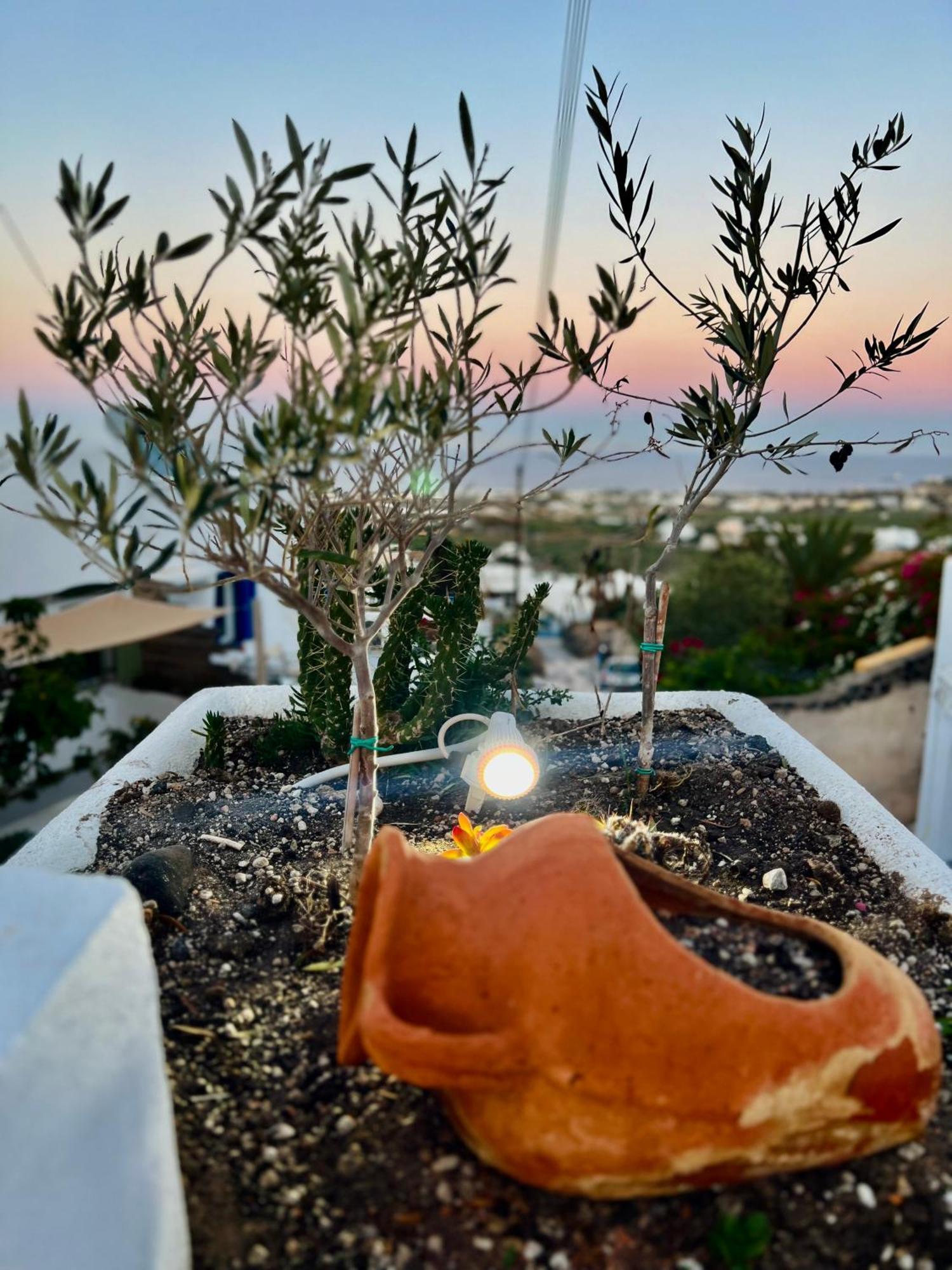 Aletrivillas Έξω Γωνιά Εξωτερικό φωτογραφία